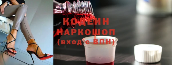 МДПВ Пересвет