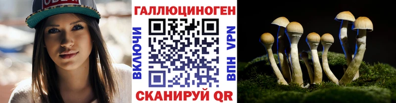 Галлюциногенные грибы Magic Shrooms где продают Бабушкин